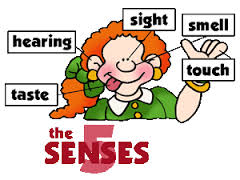 SENSORY LEARNING